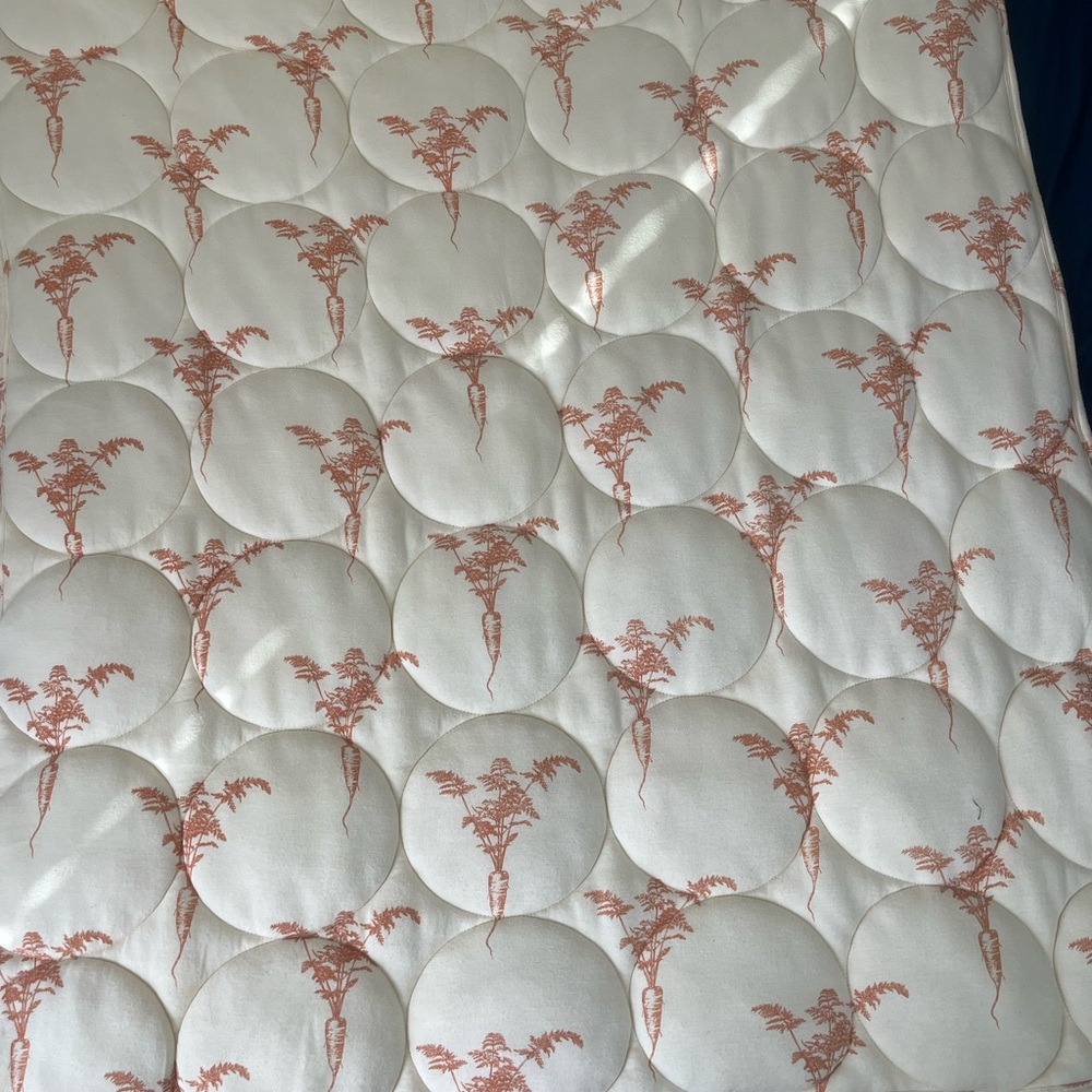 Kate Quinn Carrot Quilt